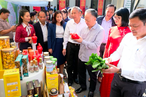 Hanoi promotes digital transformation in developing OCOP products