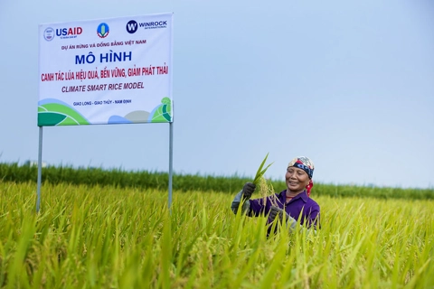 USAID-supported forest service project generates US$120M for Vietnam annually