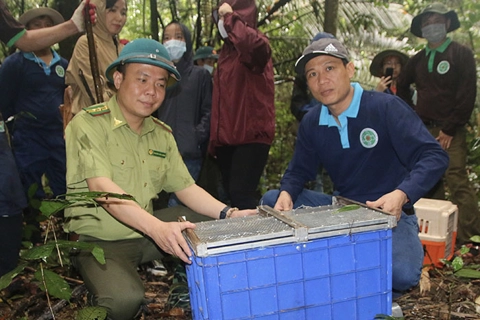 Hanoi strives to protect wildlife amid Covid-19 resurgence