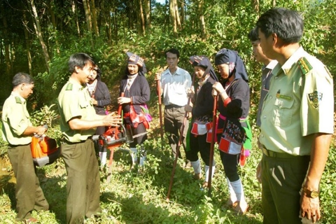 Hanoi makes efforts to protect the city’s "green lung"