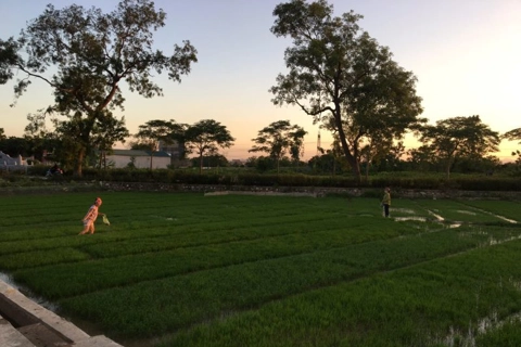 Hanoi's farmers work at night to avoid extreme heat