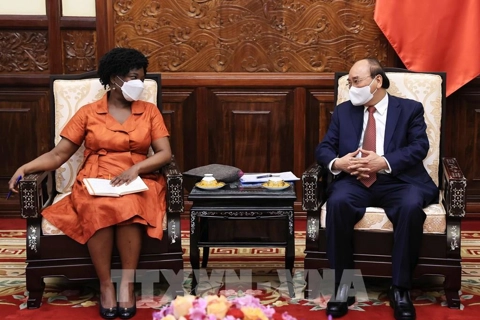 World Bank supports Vietnam in renewable energy development