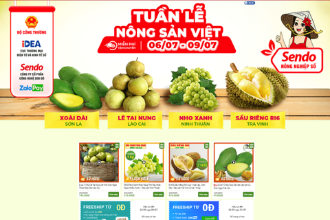 Vietnamese agricultural products sold on e-commerce platform