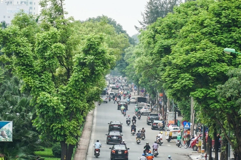 Hanoi streets turn verdant thanks to numerous trees