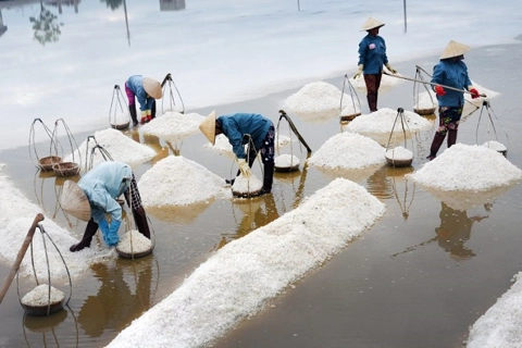 The Diplomat describes salt harvesting scene in Vietnam