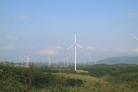 Vietnam boost cooperation with Germany in renewables