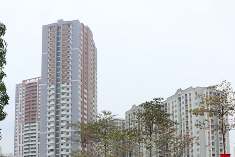 Low-budget apartments fast becoming attractive long-term investment