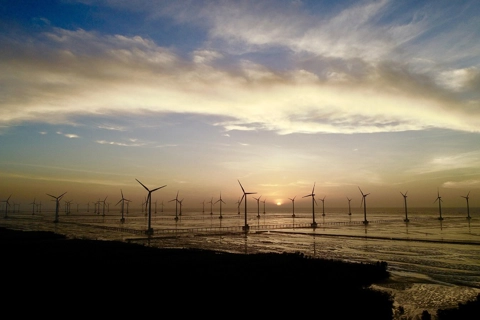 Offshore wind in Vietnam: lack of rules on environmental impact assessment 