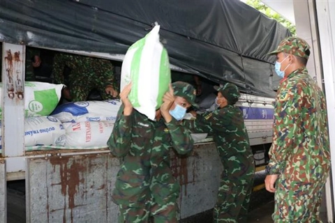 Vietnam to send 130,000 tons of rice to pandemic-hit localities