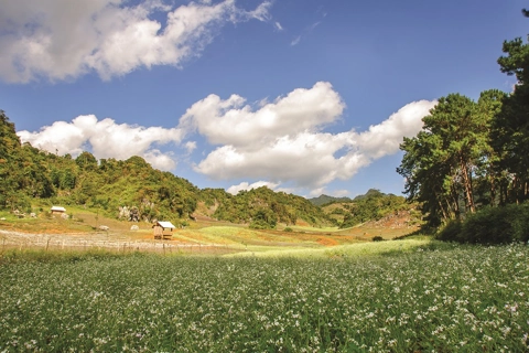 Vietnam tourism sector prepares to welcome international visitors