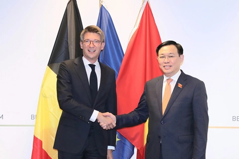 Vietnam, Belgium relations lifted to new height 