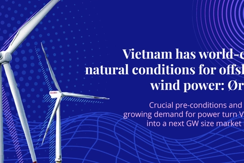 [Net-zero strategy] Vietnam has world-class natural conditions for offshore wind power