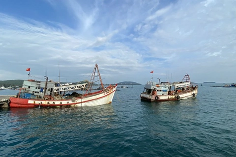 USAID, partners launch US$2.9 million project to protect Mekong Delta's habitat