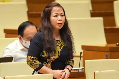 Hanoi's NA Deputy calls for sensible tax policy during economic hardship