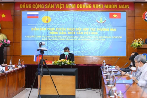 AEAU opens up huge opportunities for Vietnam-Russia economic cooperation