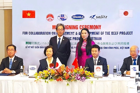 Sojitz, Vinamilk to invest in $500-million beef project in Vietnam