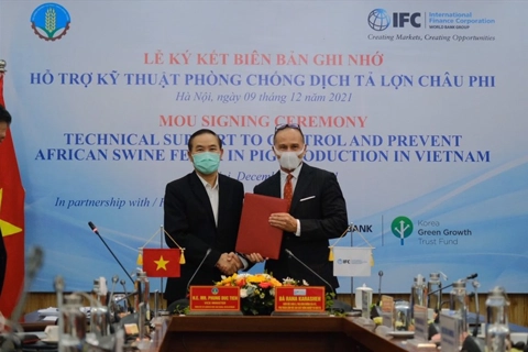 IFC provides Vietnam with technique to prevent African swine fever