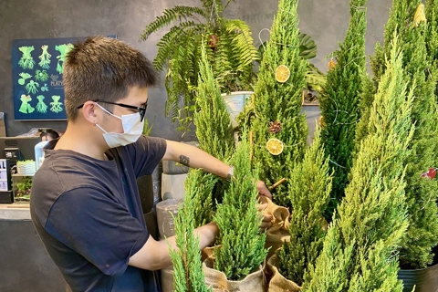 Christmas season 2021: Hanoians prefer real trees