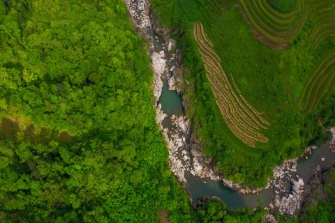 Germany to strengthen biodiversity conservation in Vietnam