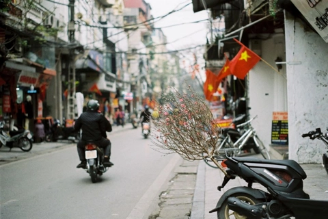 Nine-day break for Vietnamese traditional Lunar New Year of the Tiger