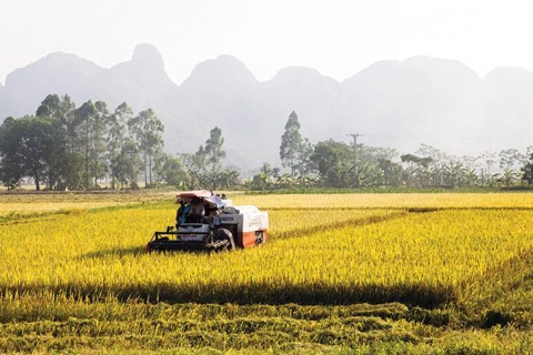 Vietnam targets green and climate-resilient agricultural sector by 2030