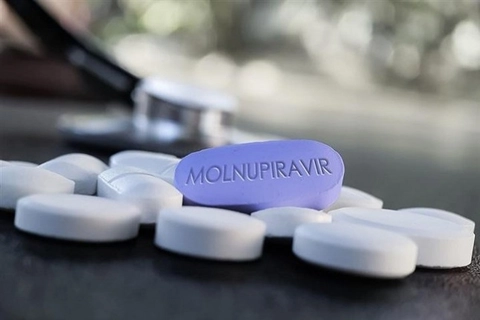 Vietnam gives nod to first Covid-19 treatment drug Molnupiravir