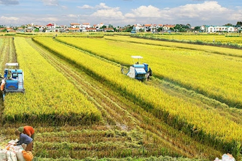 Vietnam announces strategy to become world’s major farm producer by 2030