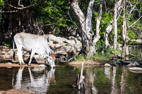 2022 Heritage Photographic Contest: “Ninh Thuan - The Land of the Heritage” opens calls