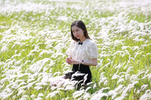 Hanoi becomes poetic with beauty of white reed field