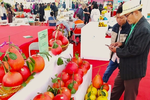 Hanoi sets up more 30 OCOP showrooms this year