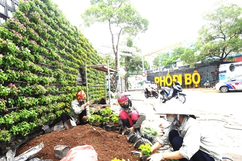 Trinh Cong Son pedestrian street embellished for the big national holiday