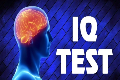 Vietnam ranks 9th among global average intelligence quotient