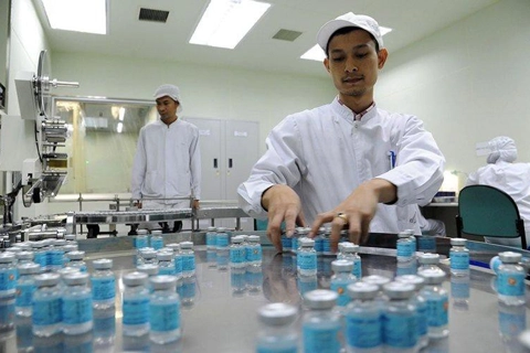 Vietnam makes world's first African swine fever vaccine