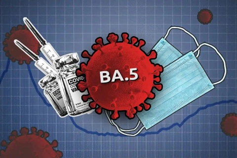BA.5 Omicron sub-variant detected in Vietnam