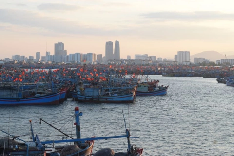 Vietnam welcomes international cooperation in IUU fishing