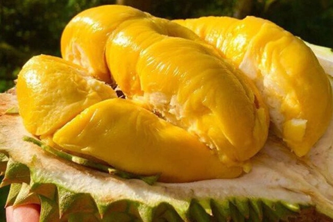 China imports Vietnamese durian after four years of negotiations 