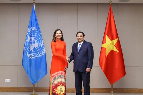 Vietnam – dynamic emerging country: UN Resident Coordinator