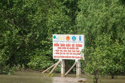 UNDP intensifies mangrove afforestation in Vietnam
