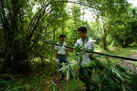 Vietnam attempts to realize carbon neutrality commitment