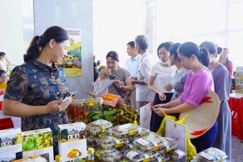 Vietnam brings Hung Yen longan to international markets