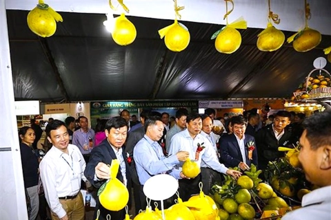 Hanoi and Hoa Binh join hands to promote agro-produce sale