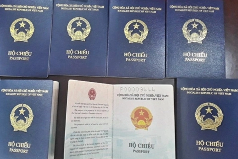 Germany accepts Vietnamese redesigned passport