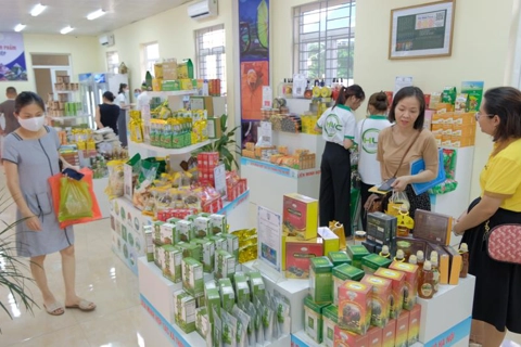 Hanoi launches safe farm produce showroom in Ha Dong District