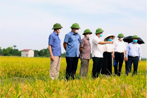 Hanoi strives to find markets for farm produce and specialties