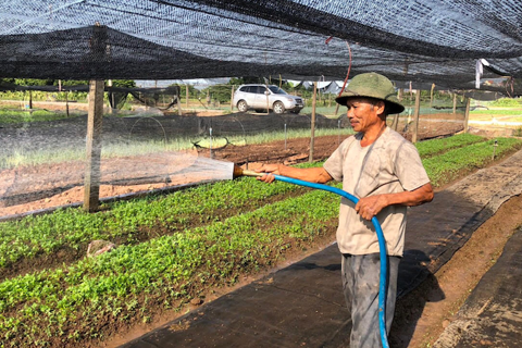 Hanoi records surge in agro-forestry-fishery export value   