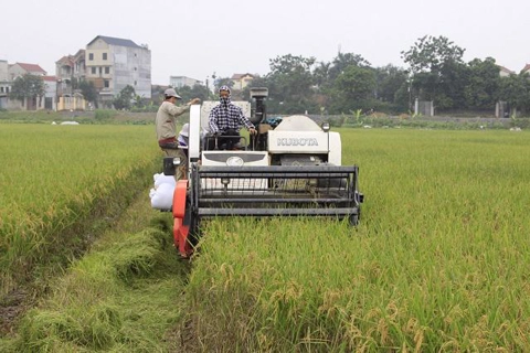 Hanoi seeks ways to boost agricultural exports