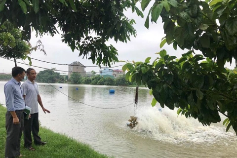 Taking Hanoi's farm produce to modern distribution channels