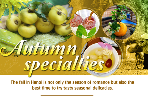 Hanoian specialities for Fall