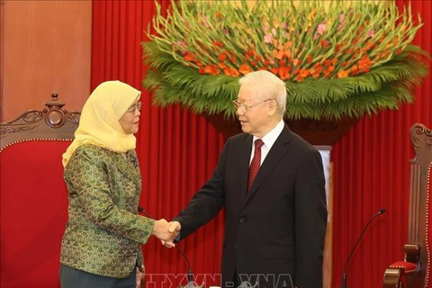 Vietnam gives priority to strategic partnership with Singapore