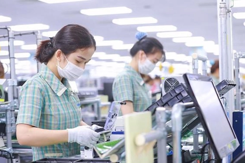 Vietnam remains attractive option for diversification of the global supply chain: OECD